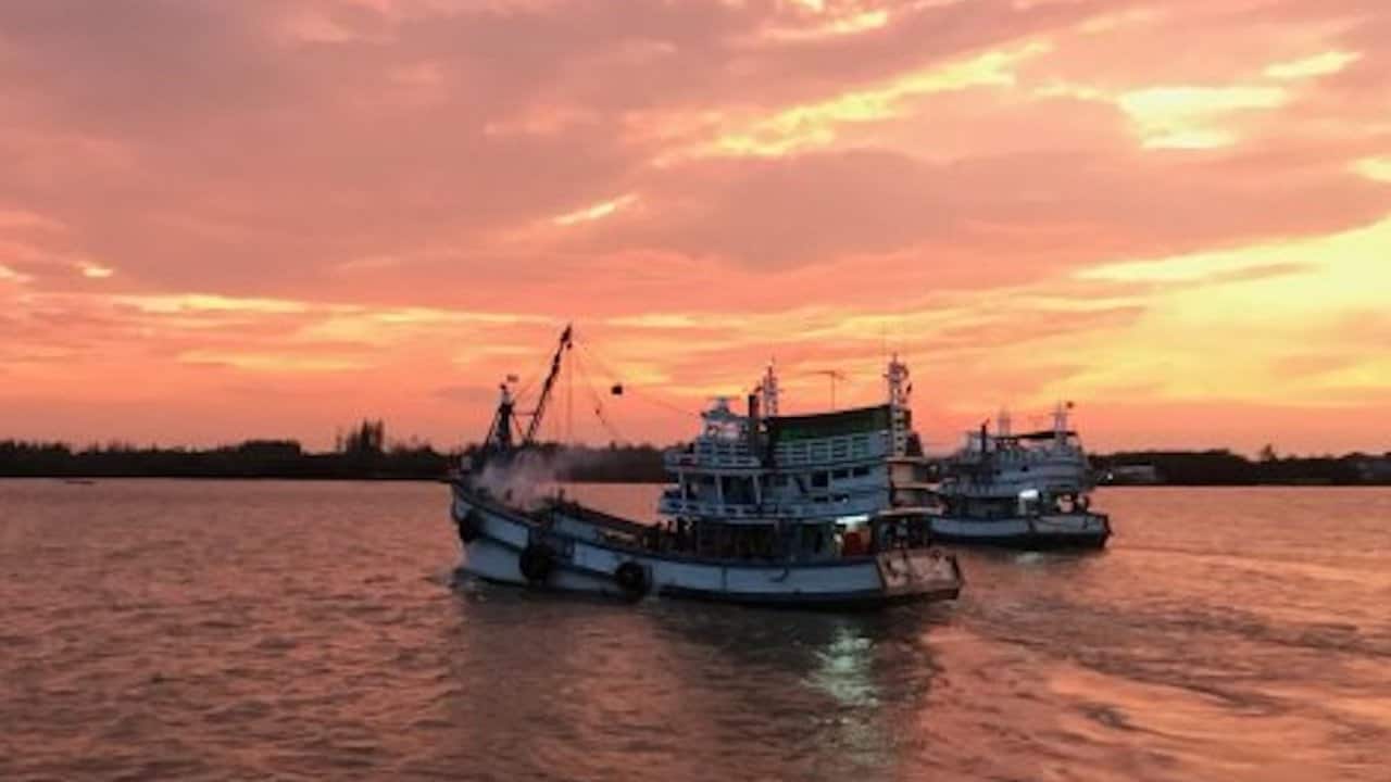 Read more about the article Gulf of Thailand mixed-trawl FIP accepted onto the MarinTrust Improver Programme