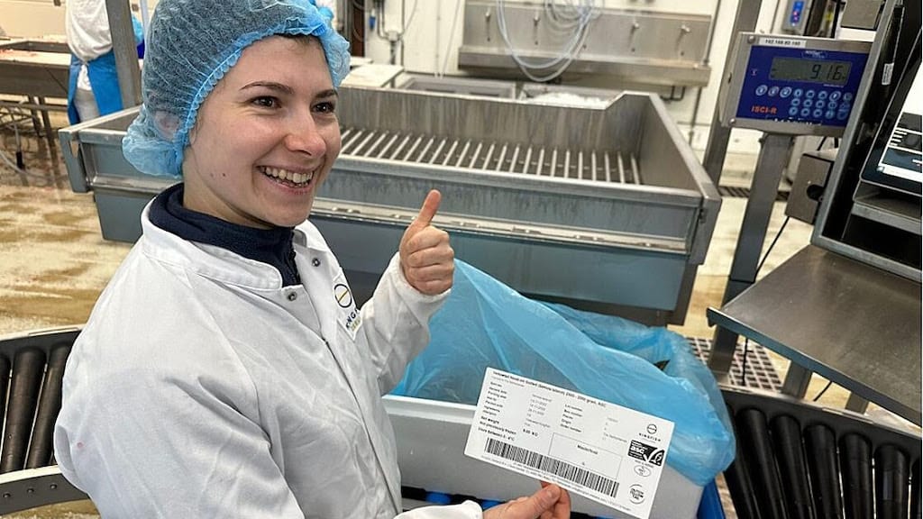 Read more about the article The Kingfish Company chooses Maritech