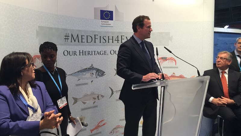 Read more about the article High recovery potential for Mediterranean fisheries