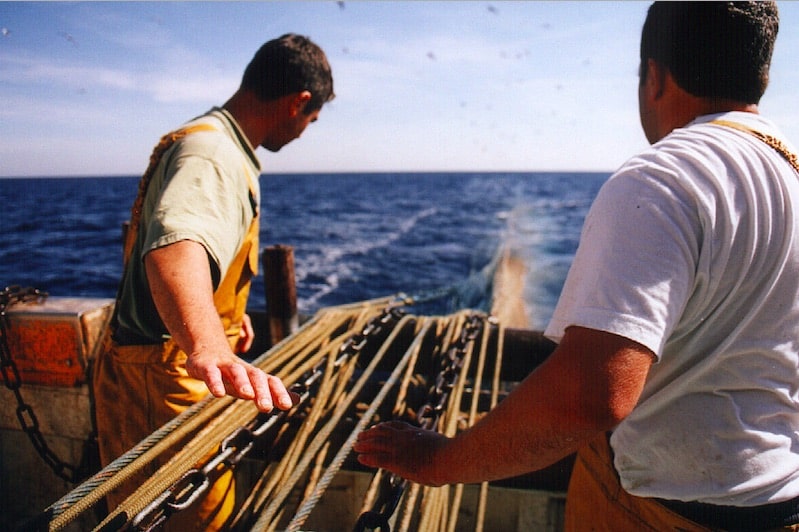 Read more about the article World Oceans Day statement