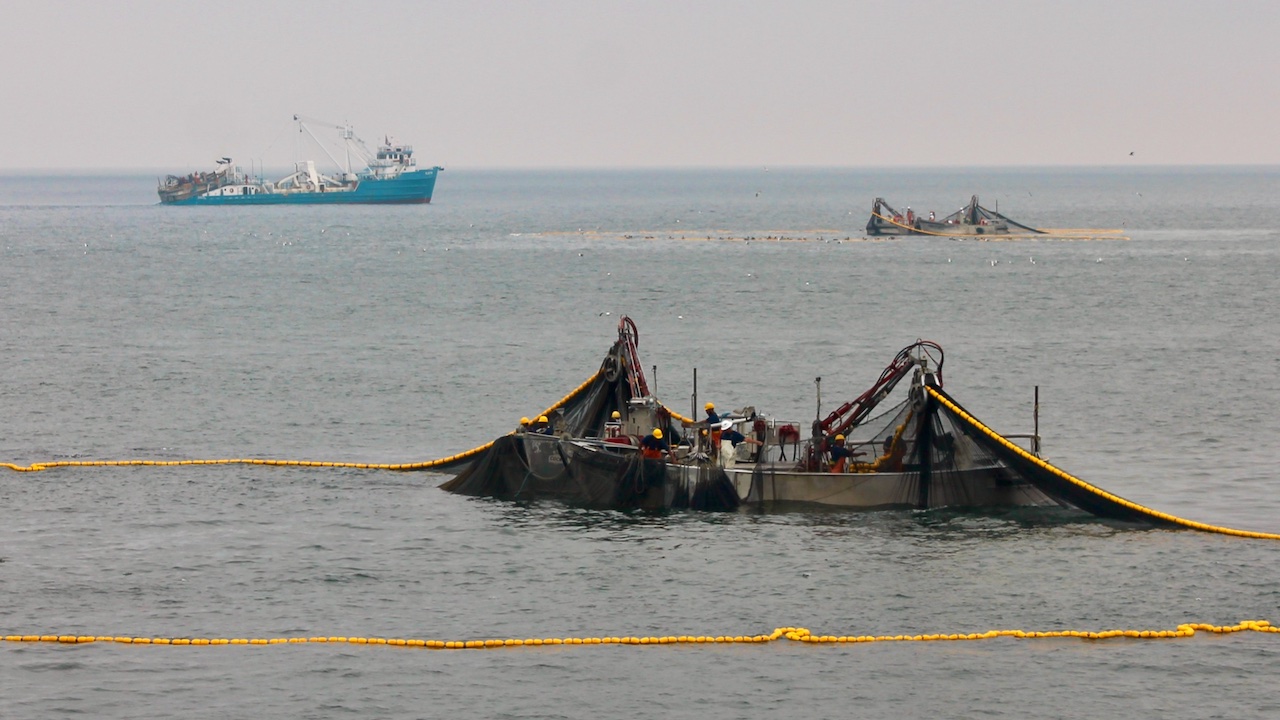 Read more about the article Legislation to protect fisheries from harassment