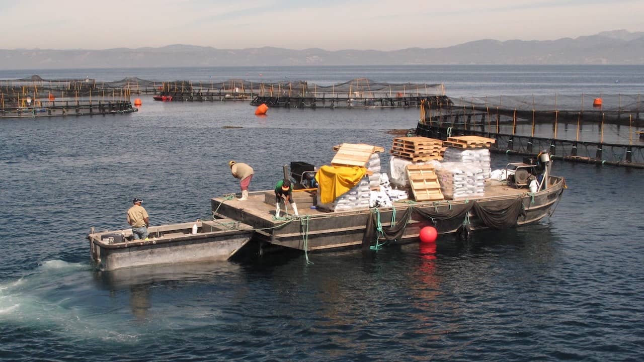 Read more about the article IFFO appoints incoming President and VP