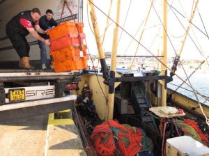 Elizabeth N's fish loaded into a truck - @ Fiskerforum