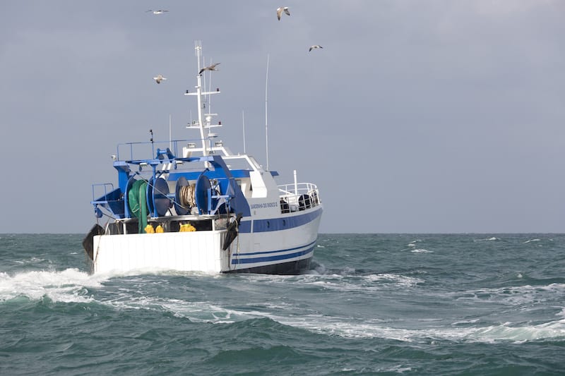 Read more about the article Mozambique’s financial scandal linked to tuna fleet