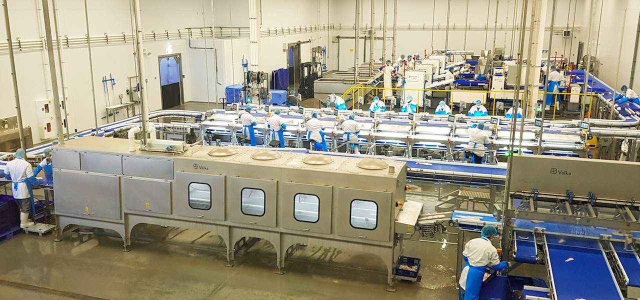 High-tech processing plant opens in Murmansk - FiskerForum