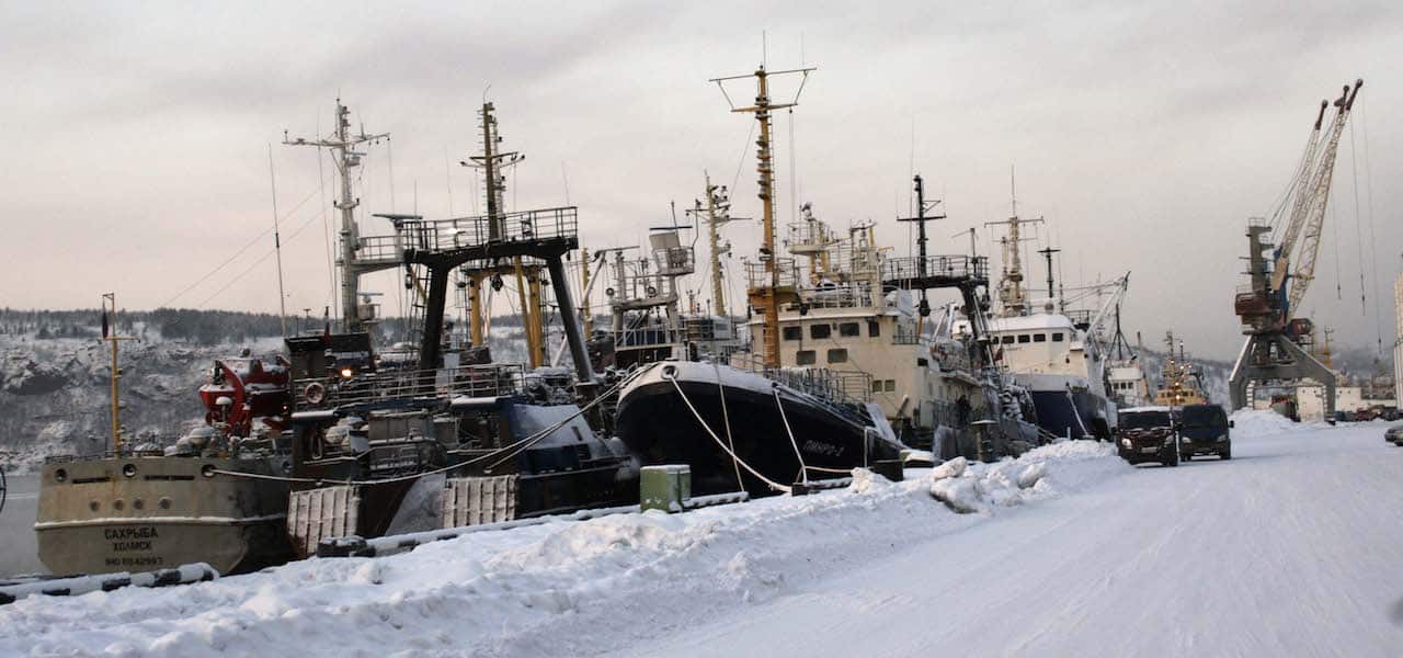 Read more about the article Murmansk’s landings down in 2019