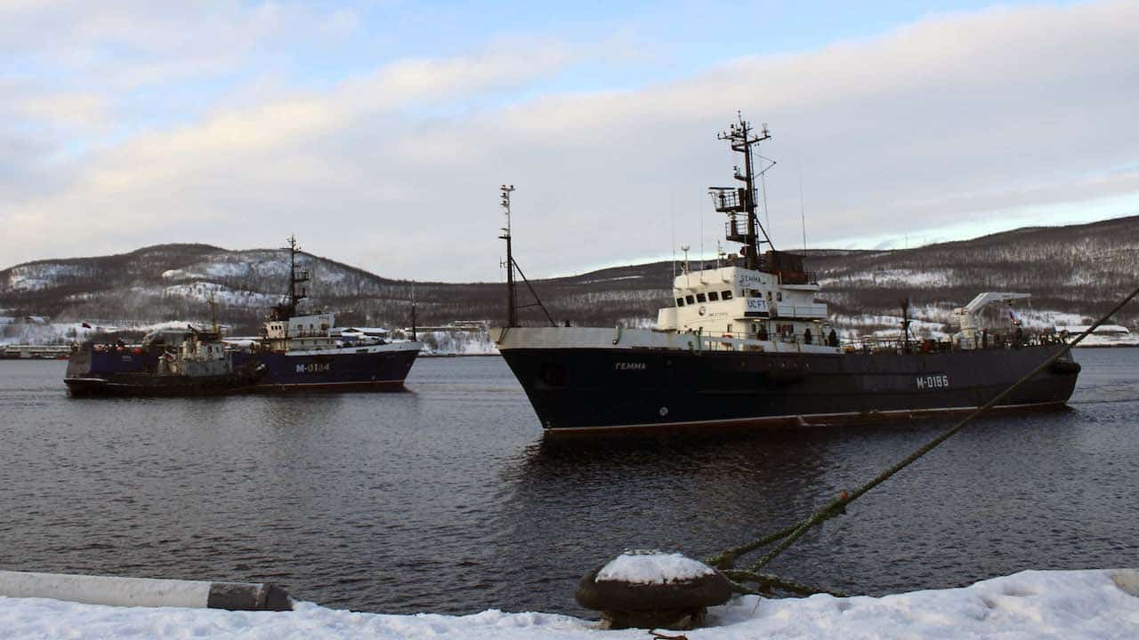 Read more about the article Murmansk’s April landings up, but still down on last year