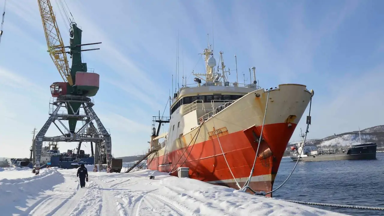 Read more about the article Positive first quarter for Murmansk’s fishing port