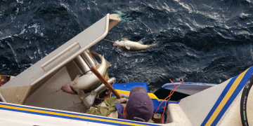 Longlining transforms Newfoundland fishing