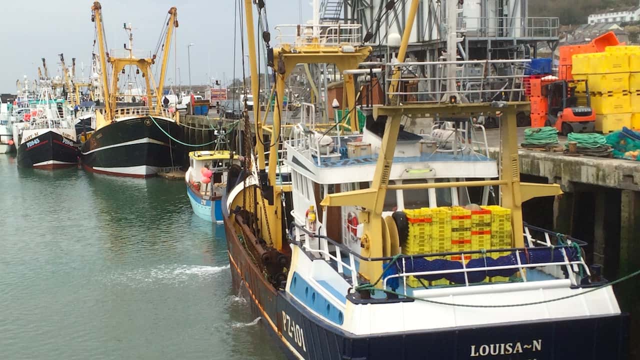 Read more about the article Brexit ‘fails to deliver Government promises on fishing industry’