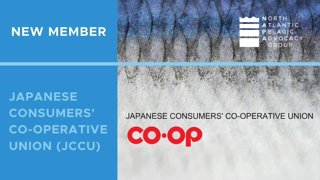 Read more about the article NAPA draws in support from Asian retailer