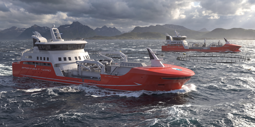 Read more about the article NES to power live fish carrier