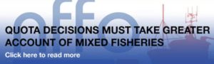 Quota decisions must take greater account of mixed fisheries.  Photo: - @ Fiskerforum