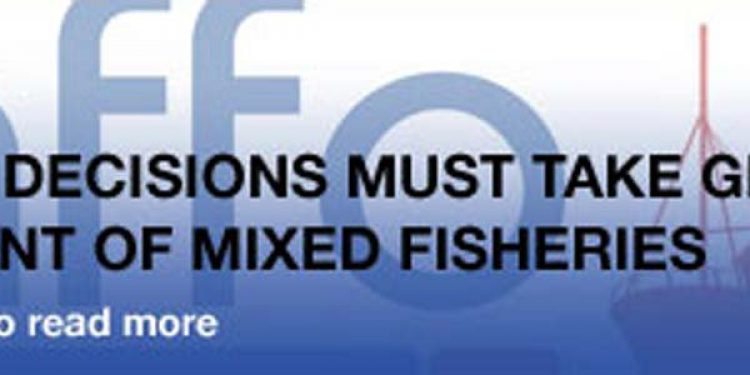 Quota decisions must take greater account of mixed fisheries.  Photo: - @ Fiskerforum