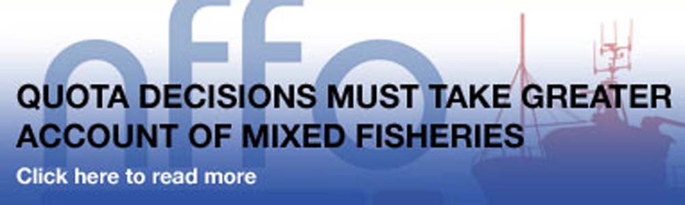 Read more about the article Quota decisions must take greater account of mixed fisheries
