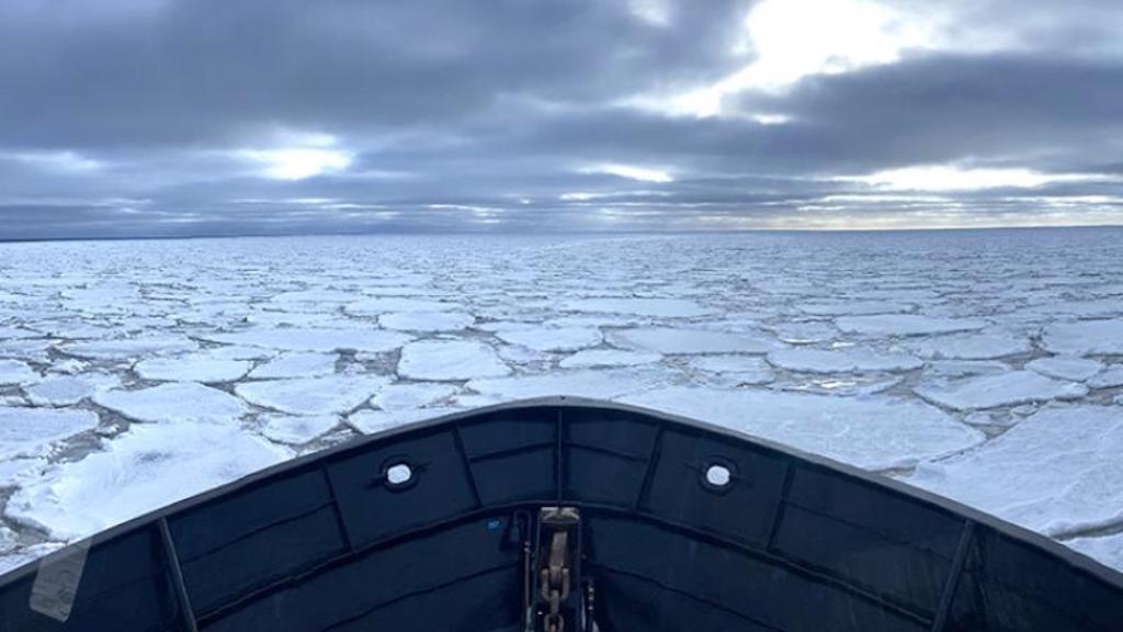 Read more about the article Mapping potential northward shift in Bering Sea stocks