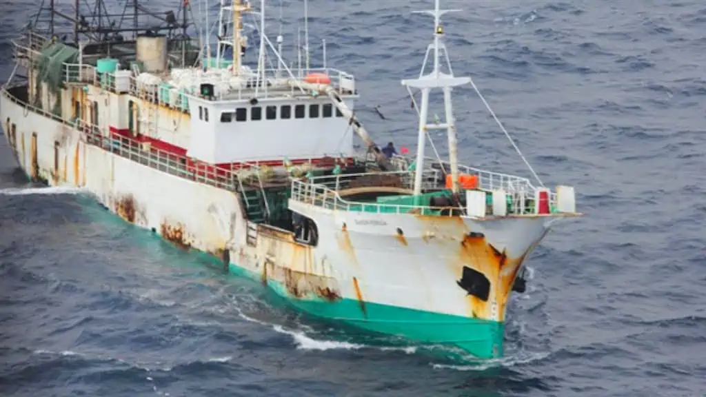 Read more about the article New measures against IUU fishing and forced labour proposed