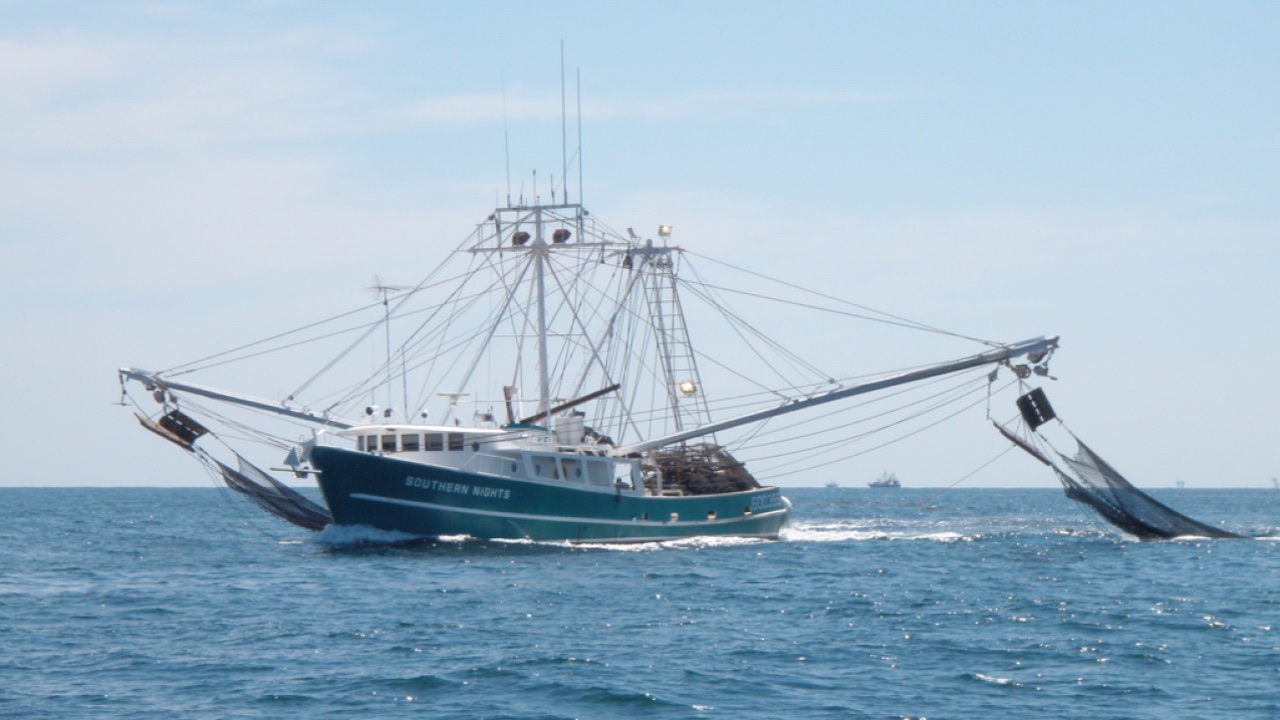 Read more about the article US allocates over $42 million in fishery disaster funding