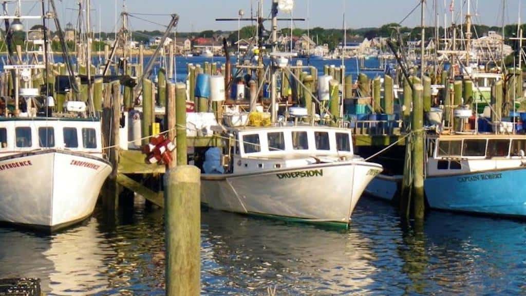 Read more about the article Grant funding for promotion, development, and marketing of US fisheries