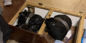 Scallop scammers sentenced