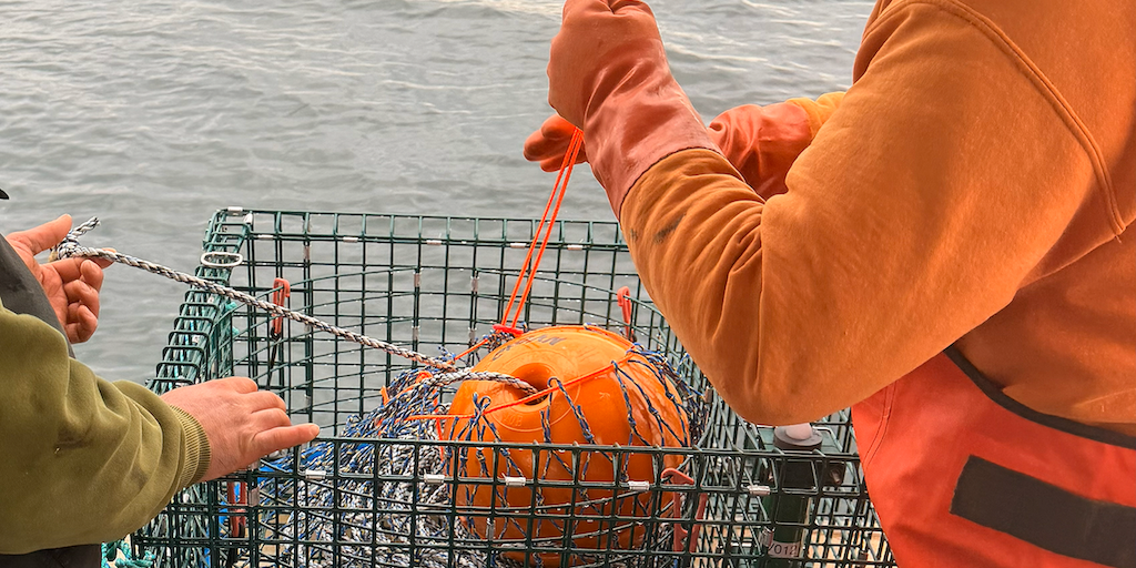 Read more about the article On-Demand gear testing in progress