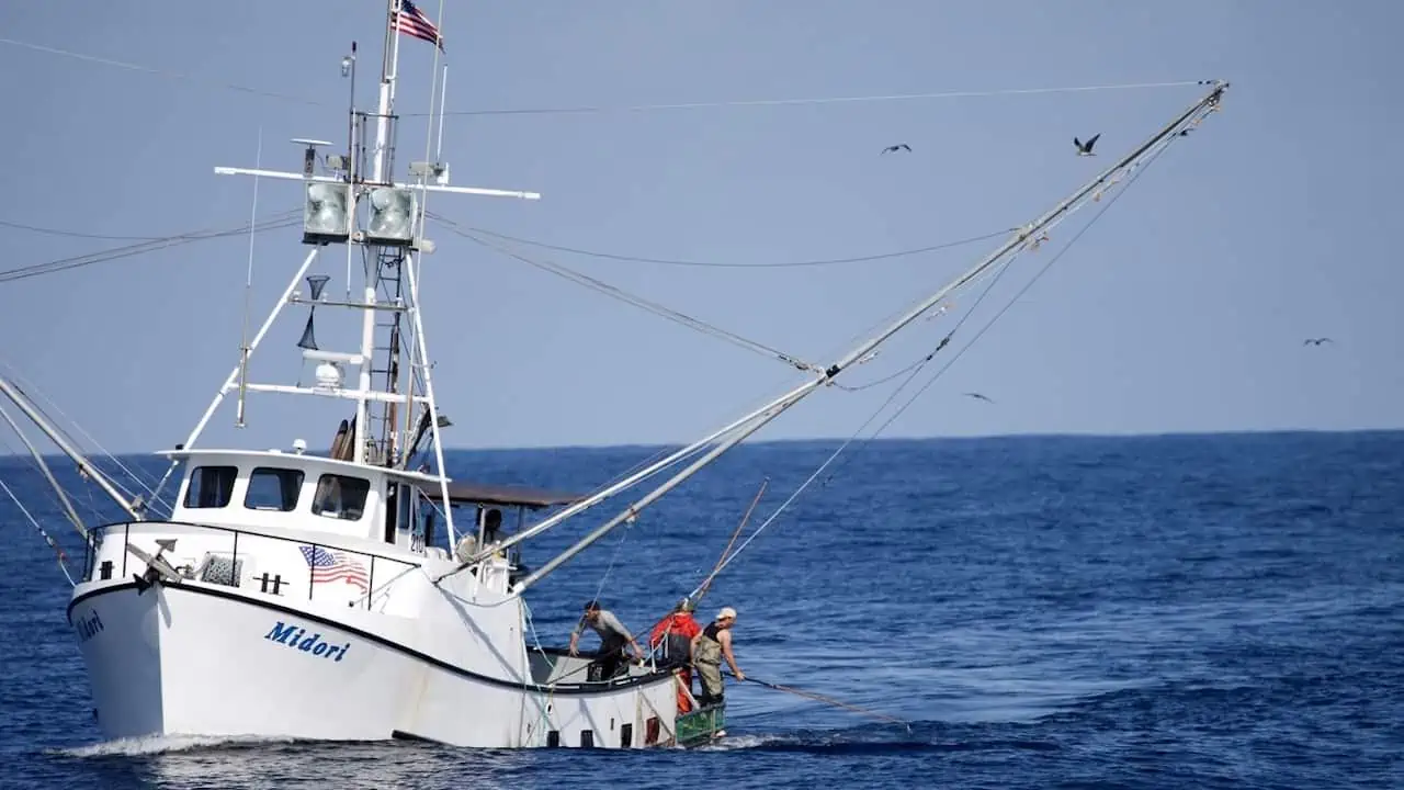 Read more about the article Seafood coalition seeks sustainable management of Pacific albacore