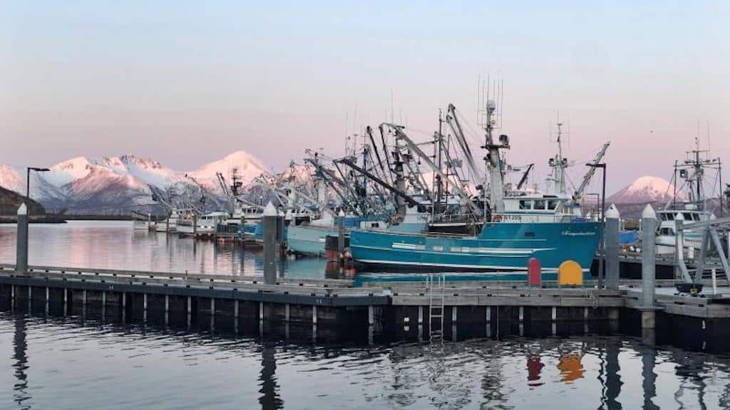 Read more about the article Electronic monitoring comes to Gulf of Alaska pollock fishery