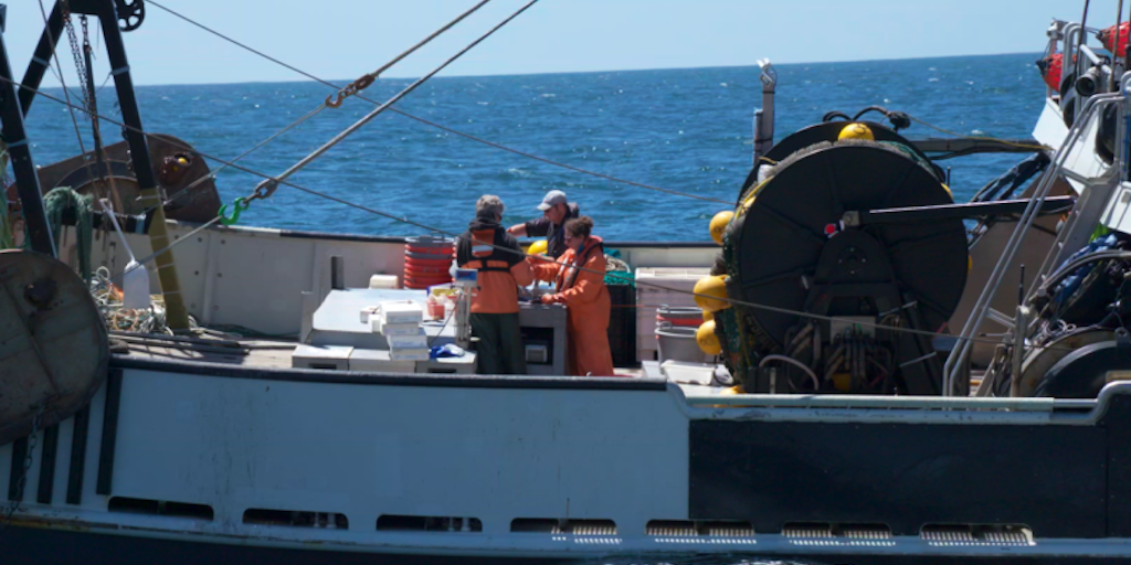 Read more about the article Emergency groundfish rule keeps fleet fishing