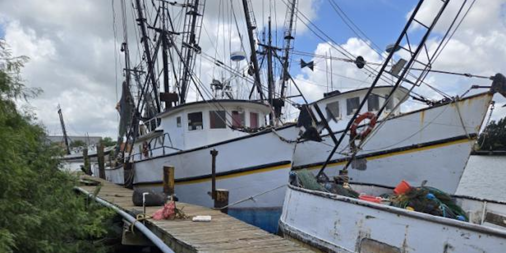 Read more about the article Report reveals US shrimp fishery in dire situation