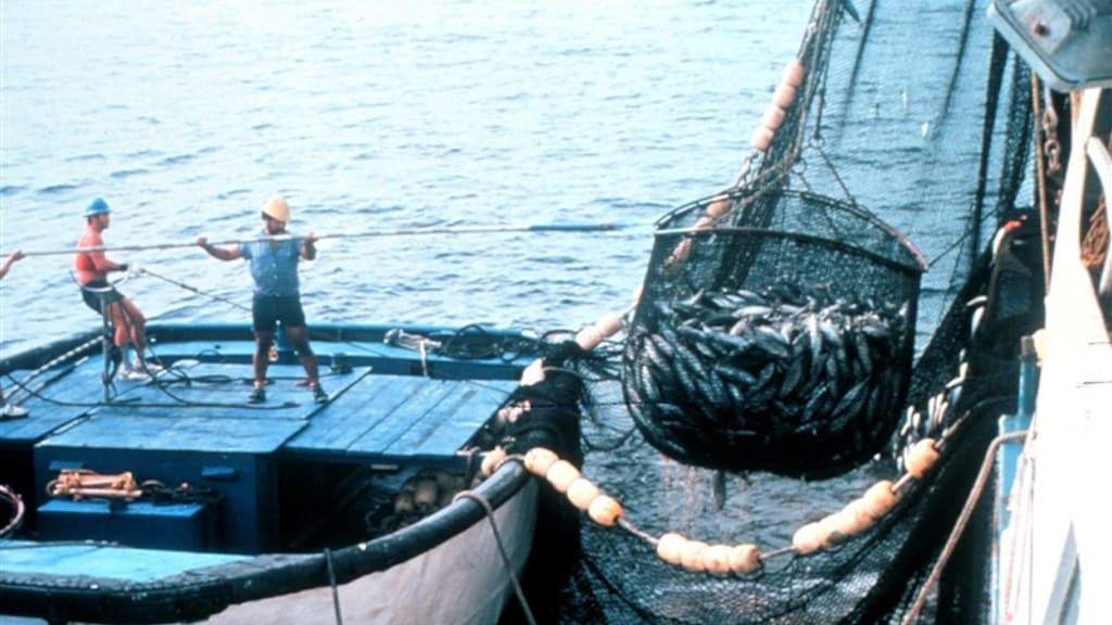 Read more about the article Concerns raised over fishing crew protection in WCPFC