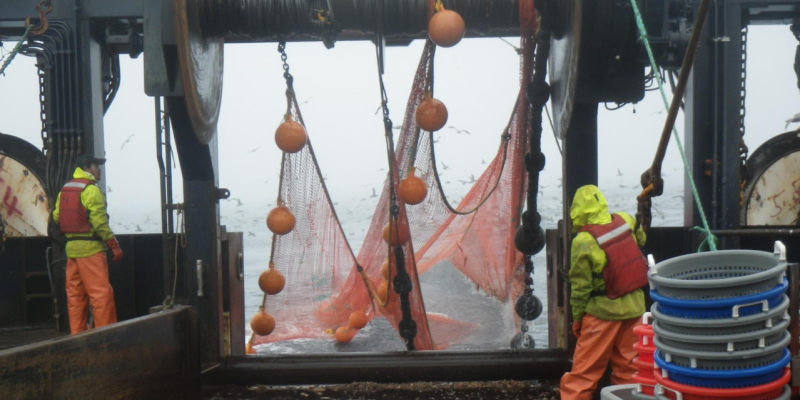 Read more about the article NOAA opens Atlantic monument area