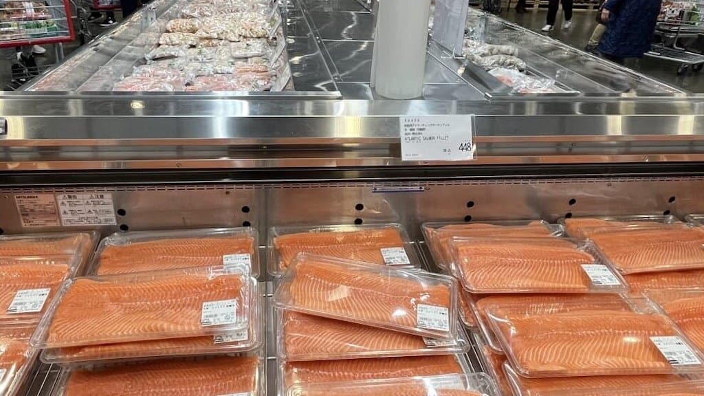 Read more about the article Weak NoK drives up export values