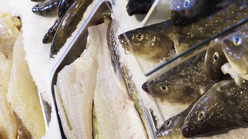 Read more about the article Best year ever for Norway’s seafood exports