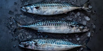 Norway’s herring and mackerel exports take a sharp dip
