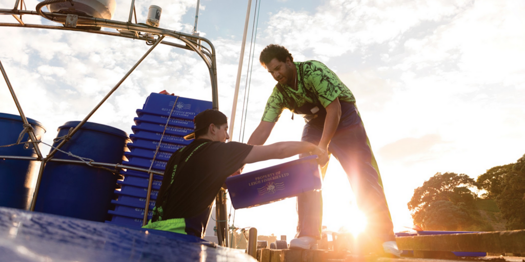Read more about the article NZ introduces Fisheries Amendment Bill