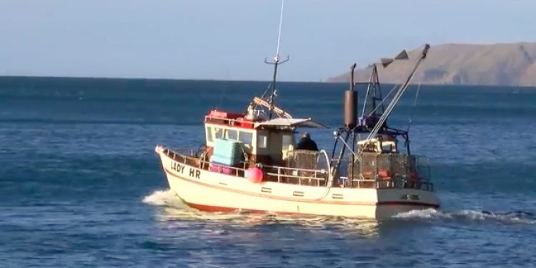 A still from the film produced by the New Zealand Federation of Commercial Fishermen - @ Fiskerforum