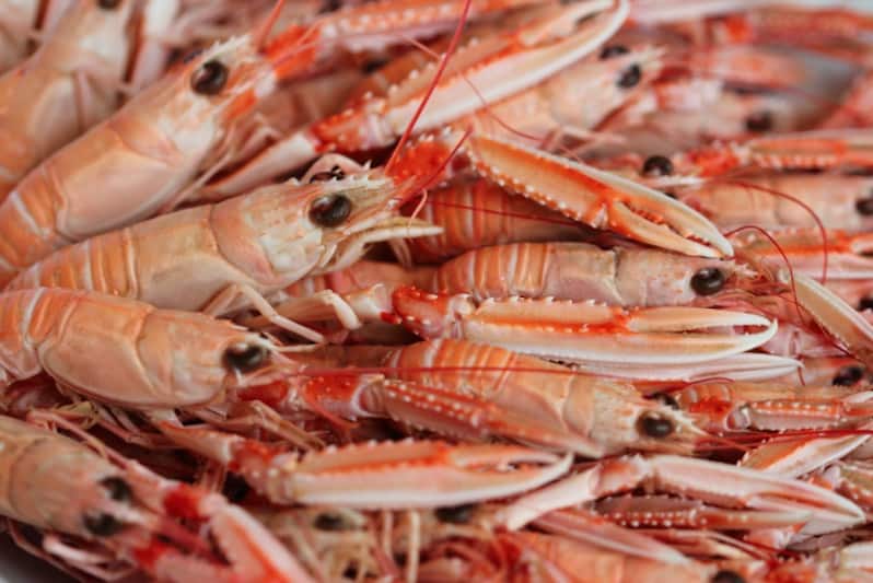 creel prawns