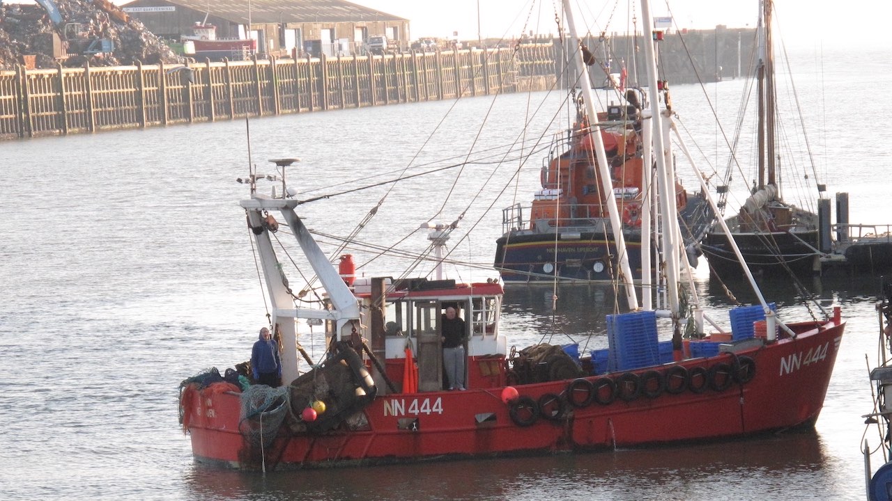 Read more about the article New fish processing ready to open in Newhaven