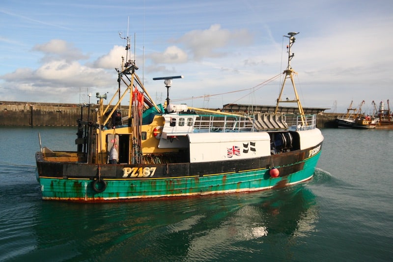 Read more about the article UK fishing hits £1billion turnover