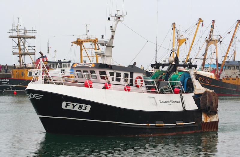 Read more about the article NFFO prepares response to MPA gear ban