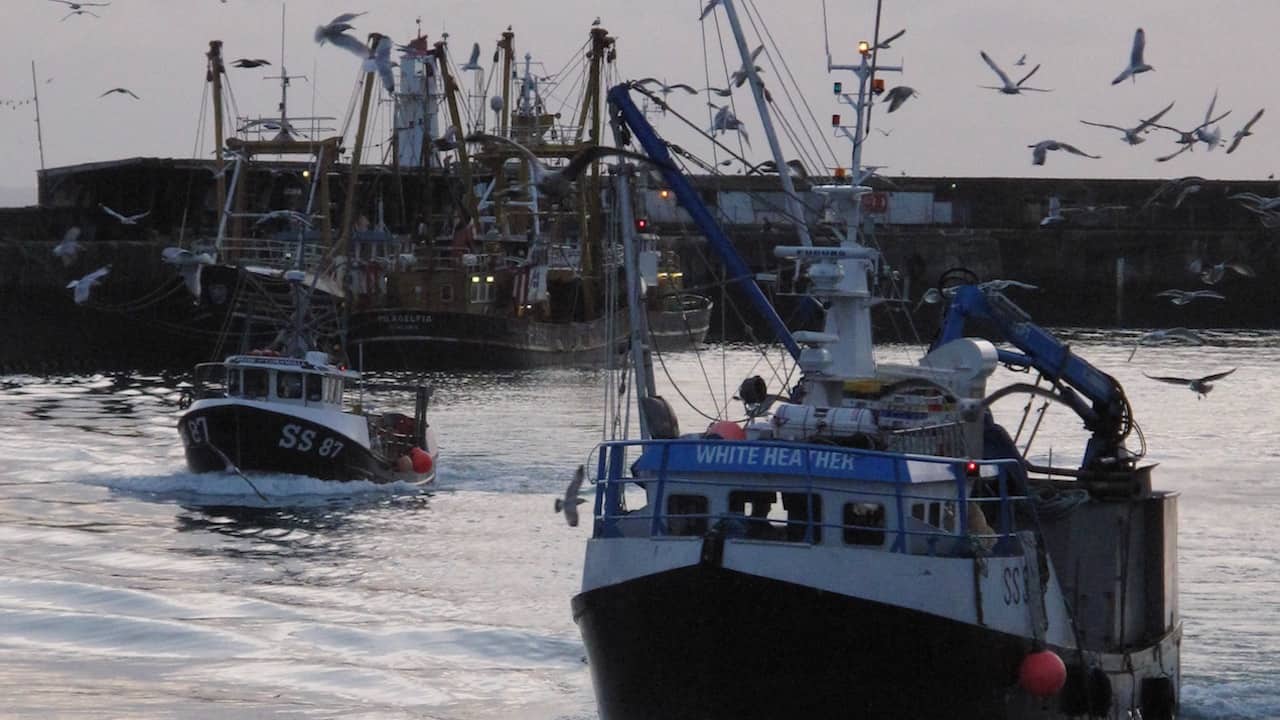 Read more about the article Seeking a clear commitment to co-management in future policy ​​