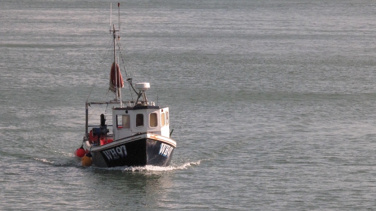 Read more about the article Compensation scheme for SW pollack fishermen