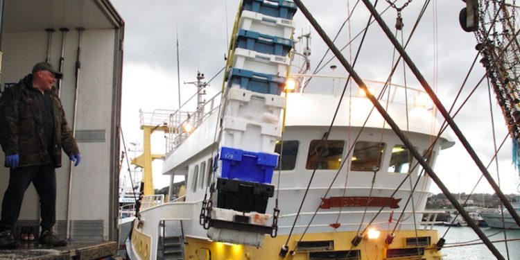 A strict application of MSY principles could result in UK fisheries being closed - @ Fiskerforum