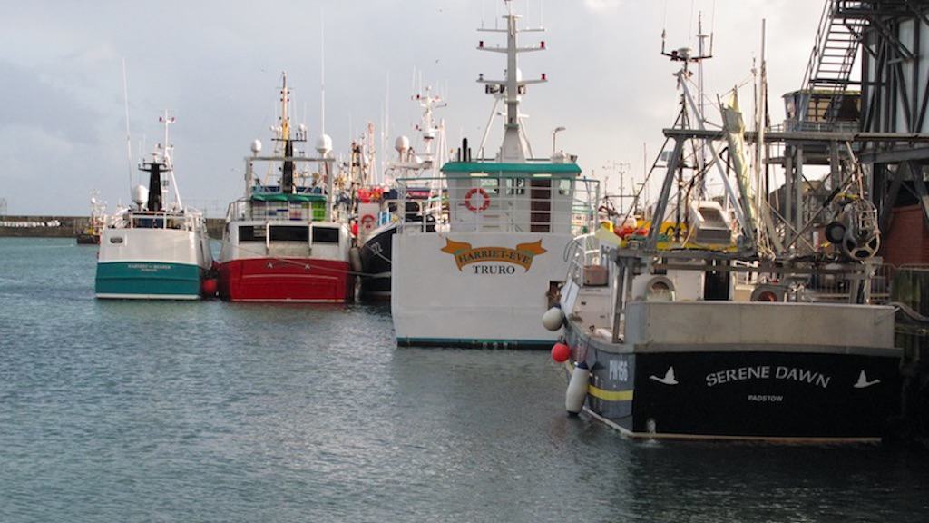 Read more about the article UK government fails to prepare transition for own visa rule change