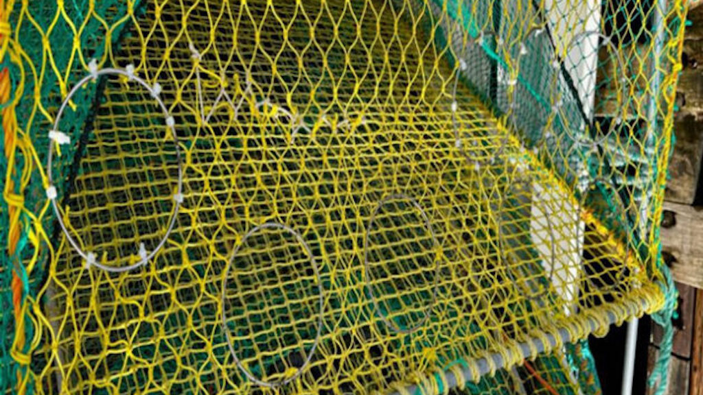 Read more about the article More sustainable king crab fishing