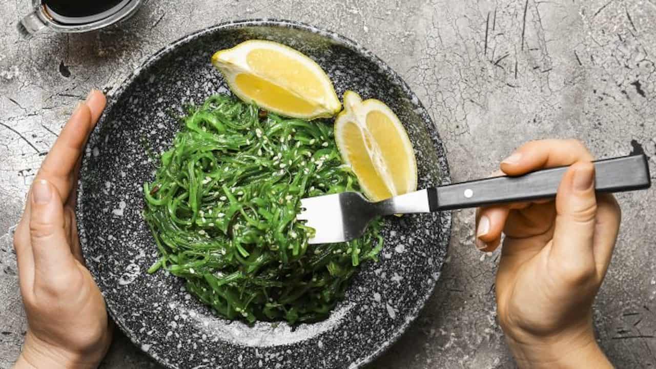 Read more about the article Are Norwegians ready for seaweed?