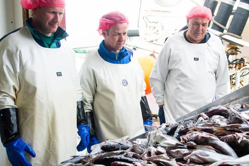 Read more about the article Improved quality of coastal cod