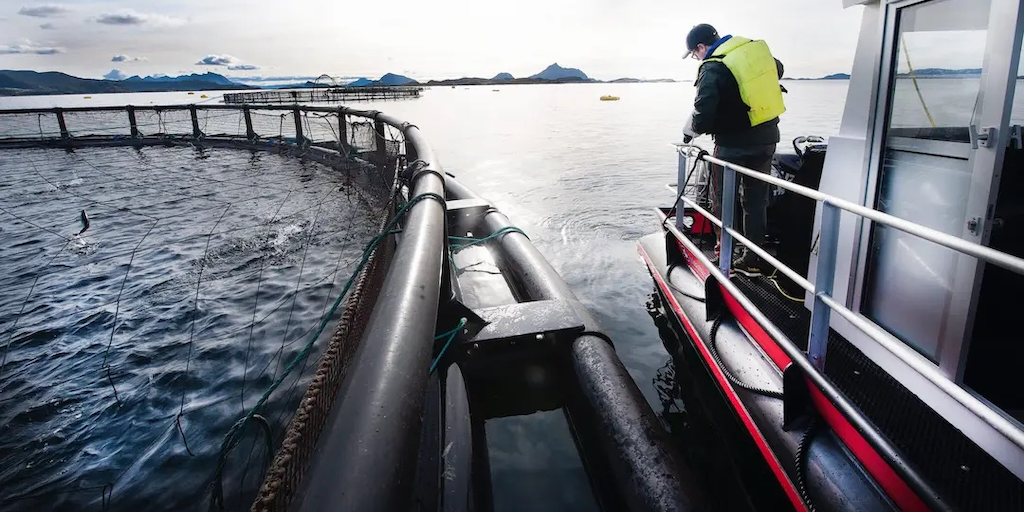 Read more about the article New nets from old