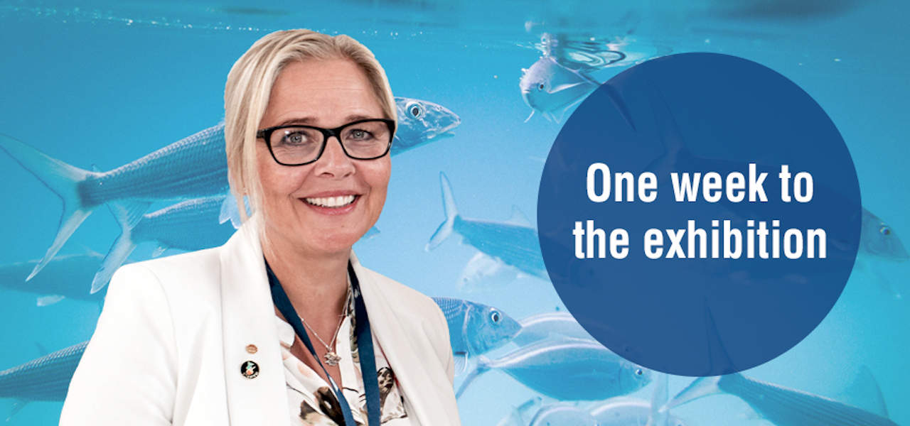 Read more about the article Nor-Fishing 2020 Digital – ready to kick off next week