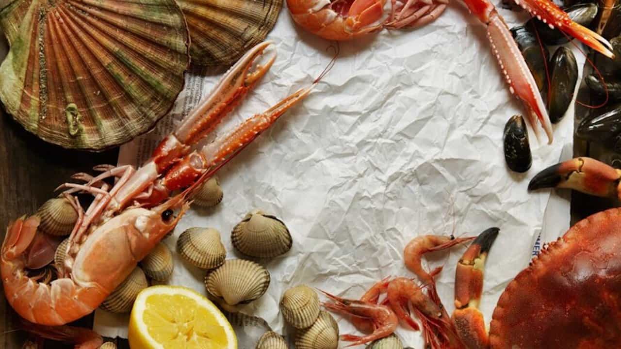 Read more about the article Norwegian exporters get leeway to adapt to UK rules